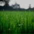 Sounds of Simplicity