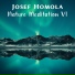 Josef Homola