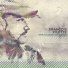 Francois Pilotte