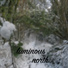 Luminous North