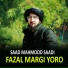 Saad Mahmood Saadi