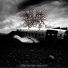 Artificial Conformity