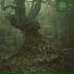 Kupla, Flitz&Suppe, Beats for Trees