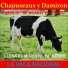 Chapuseaux y Damirón