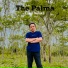 The Palma