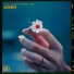 Marin Hoxha & Amanda Yang [drivemusic.me]