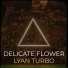 Lyan Turbo