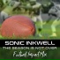 Sonic Inkwell