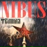 Nibus