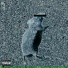 flown, n3v3rmindluv