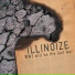 illinoize