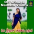 Gujje Srinu, M.Shankar