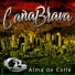 Caña Brava