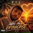C.I.O