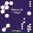 Wiket-B