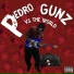 Pedro Gunz