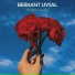 Berkant Uysal