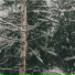 ее88