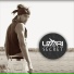 Levin beatz