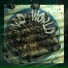 Petrovich feat. Bloodmasta Cut, Maxiscratch
