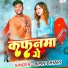 Bipin Bihari