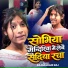 Rajnandani Raj