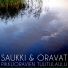 Saukki