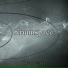 Kronnospace