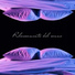 Buonanotte Academy