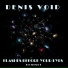 Denis Void