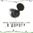 Баклби, Alexander Riotous, J.Vince
