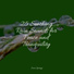 Ambient Music Therapy, Zen, Rain Hard