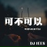 DJ IEES