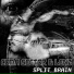 VA - Split Brain 2008 - Coma Sector