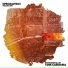 Funk Spectrum: Real Funk For Real People