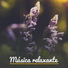 Best Relaxation Music