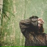 Sam Gouthro