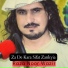 Raza Noor Wazir