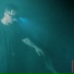 Venjent feat. JAX