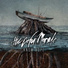 The Color Morale