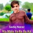 Sadiq Naraz