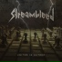 Streambleed