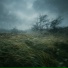 Elaris, Прохладный бриз