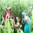 Pradeep Majanuaa Beby Raj