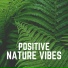 Soft Soundscapes