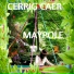 Cerrig Caer