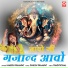 Naresh Prajapat