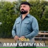 Aram Garmyani