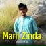 Muhib Gul