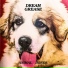 Dream Grease